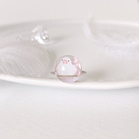 💗もふもふ可愛い白文鳥さんのまん丸リング💍