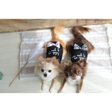 No,326 【SLサイズ】🐶犬服　ブラックりぼんパーカー✨タンク　フード　ロゴ　黒　リボン　かわいい🐶