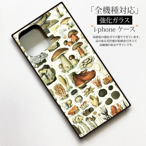 【絵画スマホケース】iPhone強化ガラス製　全機種対応『キノコ』