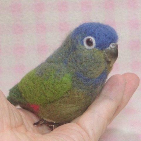 アケボノモドキ mini♪☆マグネット/ブローチ どちらか選択  足有に変更可    羊毛フェルト 鳥のオブジェ リアルバード 受注制作    工房小鳥屋さん