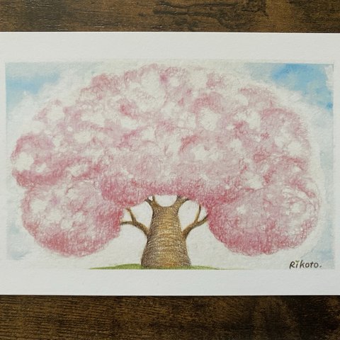 Spring Tree〜桜の頃〜/ ポストカード2枚セット