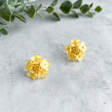 【ピアス】菜の花畑の小さな菜の花のピアス