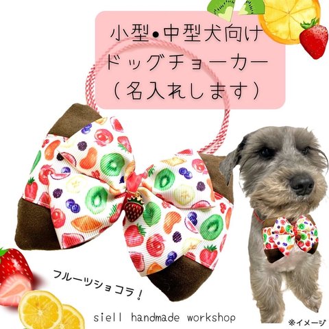 中型犬•小型犬用ペットチョーカー（名入れします）フルーツショコラ