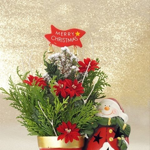 041)クリスマスを楽しく♪サンタとツリーのポストカード3枚組　