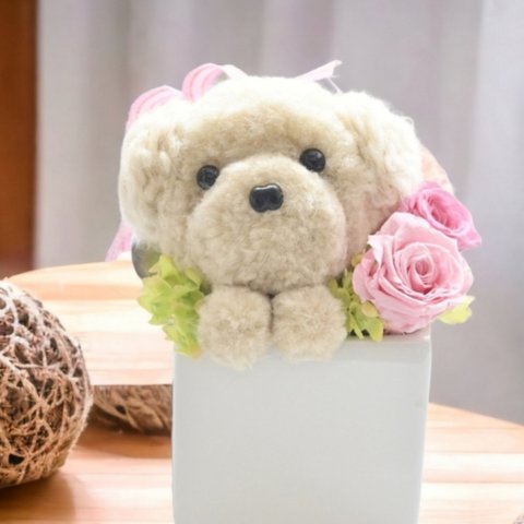 もこペット【白い犬】プリザーブドフラワー  花 犬 トイプードル  ペット お供え フラワーギフト 誕生日 母の日 プレゼント