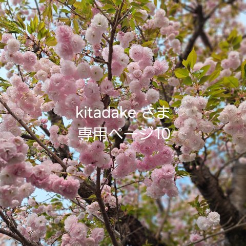 kitadake さま専用ページ10