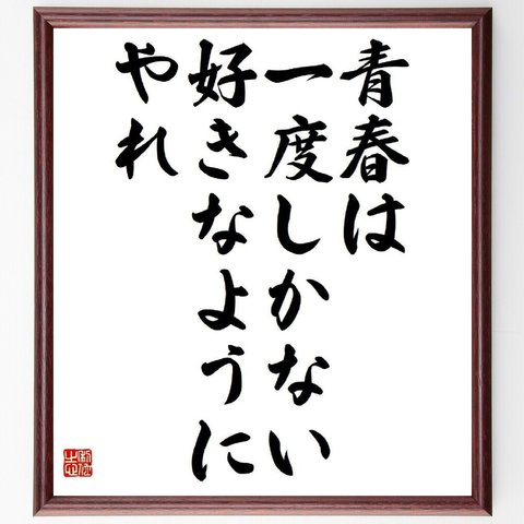 名言「青春は一度しかない、好きなようにやれ」額付き書道色紙／受注後直筆（Y4723）