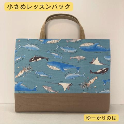 【受注生産】入学グッズ⭐︎海の仲間⭐︎⭐︎小さめレッスンバッグ（底マチあり）