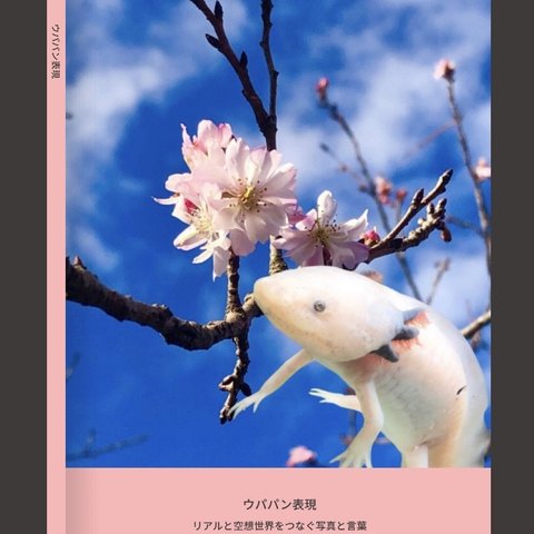 【ZINE】ウパパン表現