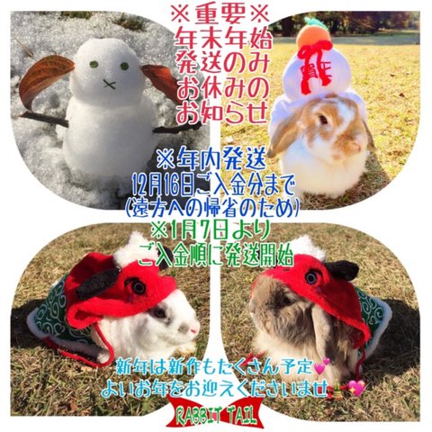 💖🎍※重要※年末年始発送のみお休みのお知らせ🎍&💖愛うさぎたちのお正月おめかし写真💖(画像全4枚♪)