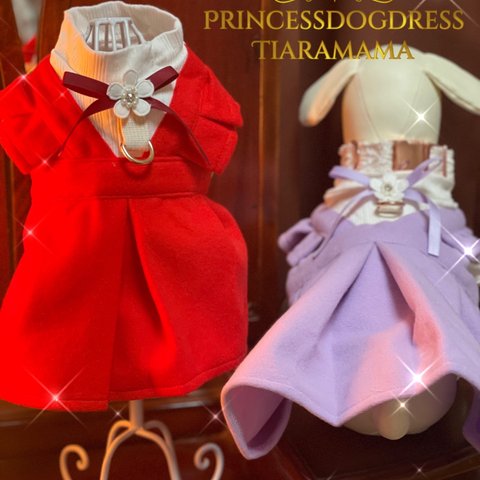 💐Princessdogdress💐お散歩Ｄカン付きワンピース　オリジナルハンドメイド　お揃い　ペット用品　お散歩セット