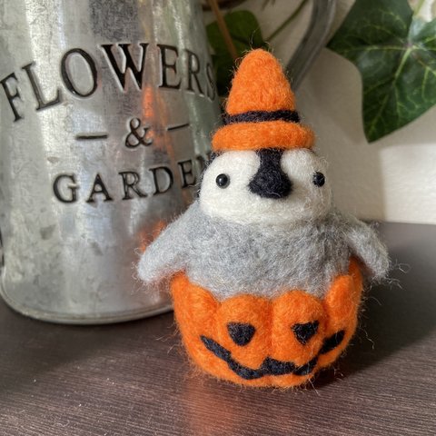 ハロウィン かぼちゃの中からこんばんは！ペンギン君