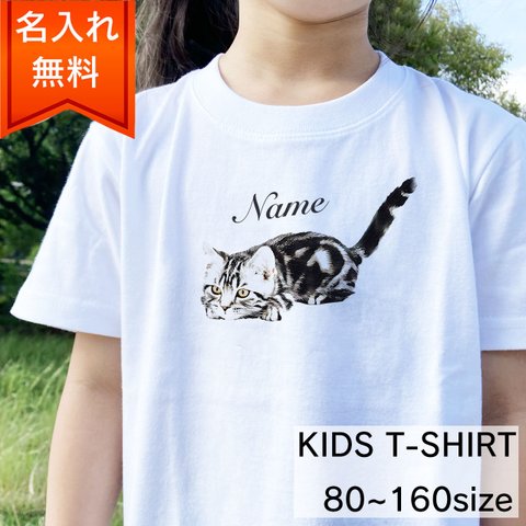 【名入れ無料】アメリカンショートヘア 猫 の キッズ&ベビー Tシャツ / 猫好きさんへのギフトに 選ばれている大人気商品です！ラッピングできます！