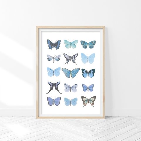 青い蝶 アートポスター (48_blue_butterfly)