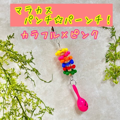 【小鳥のおもちゃ】マラカス パンチ☆パーンチ！【カラフル×ピンク】