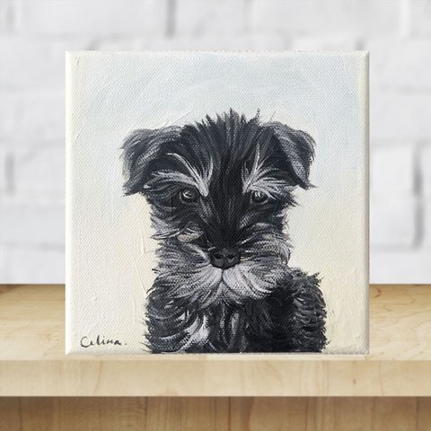 【SOLD】DOG-D// 犬 絵画 キャンバス アクリル アートパネル シュナウザー 子犬 Mシュナ 動物 ミニアート 壁掛け