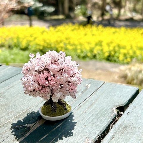 ビーズDE桜の木