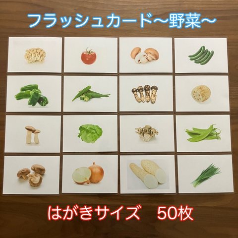 右脳が目覚める‼︎  フラッシュカード　野菜50枚