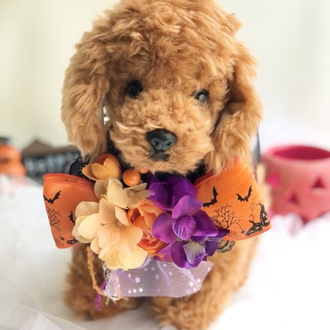 犬お花チョーカー≪ハロウィン紫リボン≫　写真撮影　トリミング　首飾り　犬猫アクセサリー　ヘッドアクセ　うちの子　