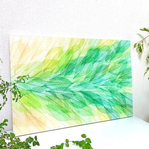 【FLOWING RADIANCE 〔GREEN〕 】