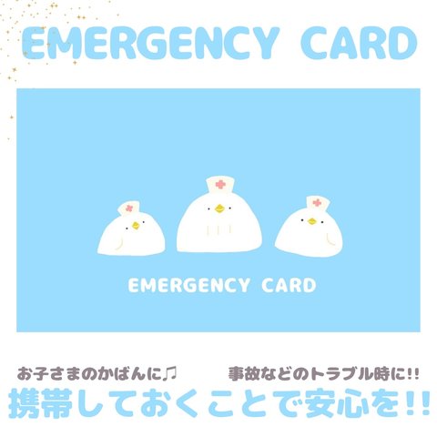トリさんたちのEMERGENCY CARD 1枚（緊急連絡先）5.5cm×9cm