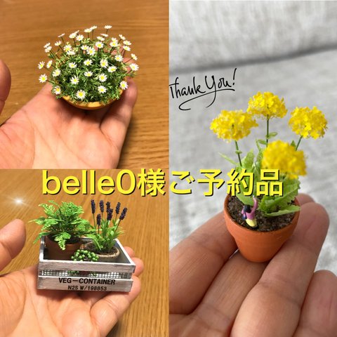 🌼ミニチュアマーガレット、菜の花、ラベンダー、アジアンタム、グリーンネックレス、ベジタブルBOX