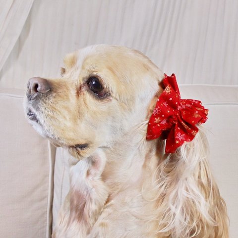 中型犬用　シュシュ　雪化粧　紅