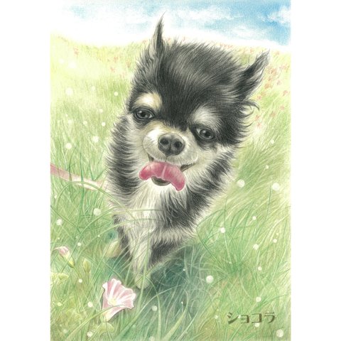 展示①犬の似顔絵‐パステル＆色鉛筆