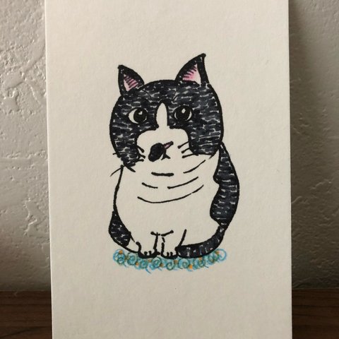 【送料無料】 絵はがき･ポストカード原画  「ころんとした猫」