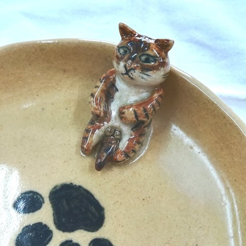 おじさん猫皿 　茶トラ