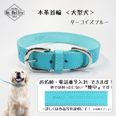 【送料無料】本革レザー首輪〈大型犬〉ターコイズブルー色　幅２４ｍｍ　長さ～６０ｃｍまで変更可 高級ヌメ革使用