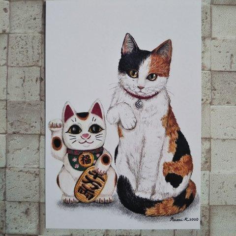｢ 招き猫 & リアル招き猫 ｣ ポストカード 2枚セット 組合せ自由！