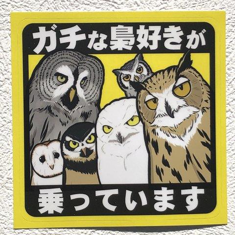 ガチな梟好きが乗っています　シールステッカー　フクロウ版（サイズ：１０ｃｍ✕１０ｃｍ）