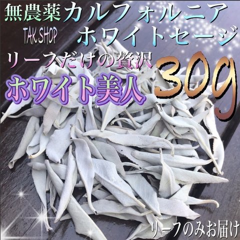 最上級 カルフォルニアホワイトセージ リーフ20g プレゼント付✴︎箱にて発送