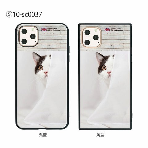 ガラス保護フィルム付 iPhone 11 Pro Max ケース 【CAT】