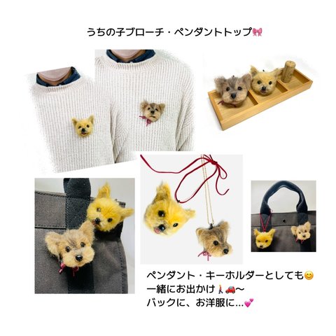 先着10組さま限定💝うちの子ブローチ3WAY☆羊毛フェルトどうぶつ広場☆    Calicos