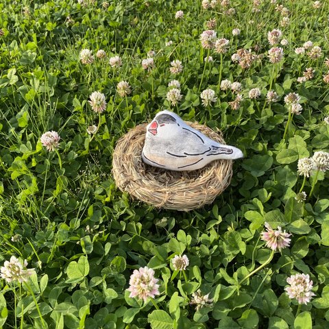 桜文鳥　文鳥にぎにぎ　フラットぬいぐるみ　