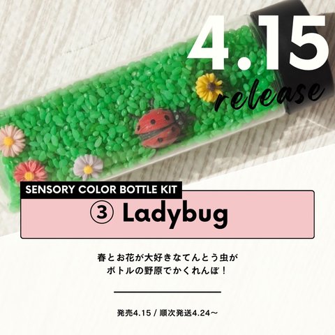 センサリーボトルキット③Ladybug