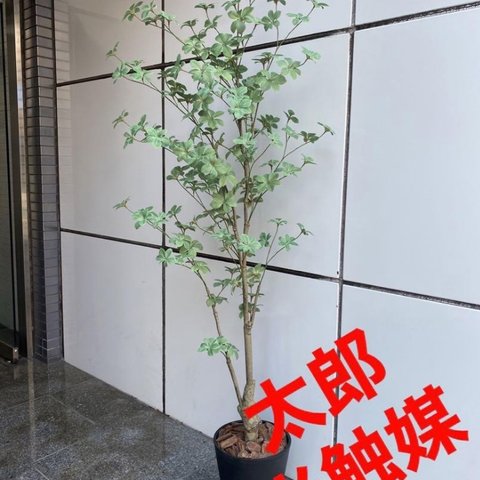 光触媒　人工観葉植物　ウォールグリーン　フェイクグリーン　ドウダン145