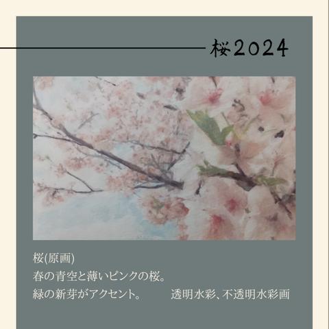 桜 2024