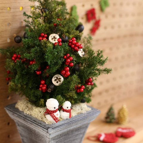 『長く愛されている永遠の定番デザイン』クリスマスツリー　Noel(ノエル）クリスマスプレゼントにオススメ♪　