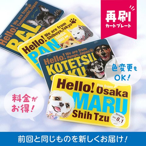 【お得！】カートプレート再刷オーダー用〈★オプションで色変更OK!〉