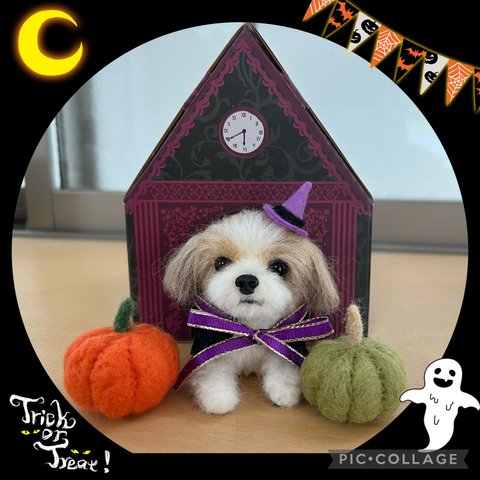 シーズーちゃんのハロウィンハウス🎃