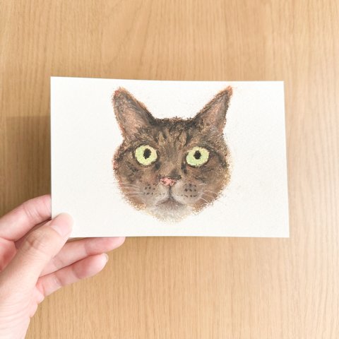 【オーダーメイド】猫ちゃんのパステル画 原画