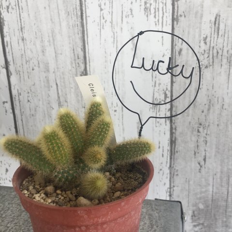 送料無料♡ ワイヤー文字   LUCKY