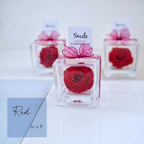 CUBE-Rose