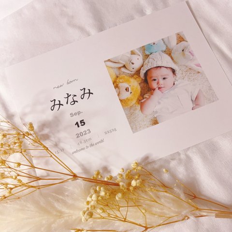 A3 【D 横型】ベビーポスター カレンダー 命名書 ニューボーンフォト 写真 子供 新生児 お気に入りのお写真で作る