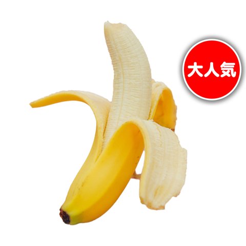オシャレおもしろTシャツ「男のバナナ1本勝負」【Tシャツ(半袖)】
