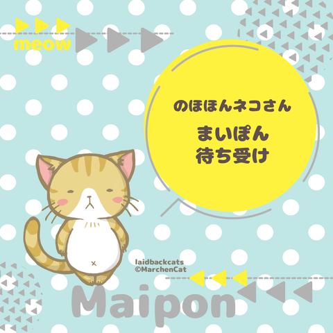 【スマホ猫壁紙】のほほんネコさん【まいぽん】待ち受け画像青