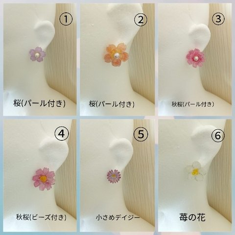 選べるピアス&イヤリング